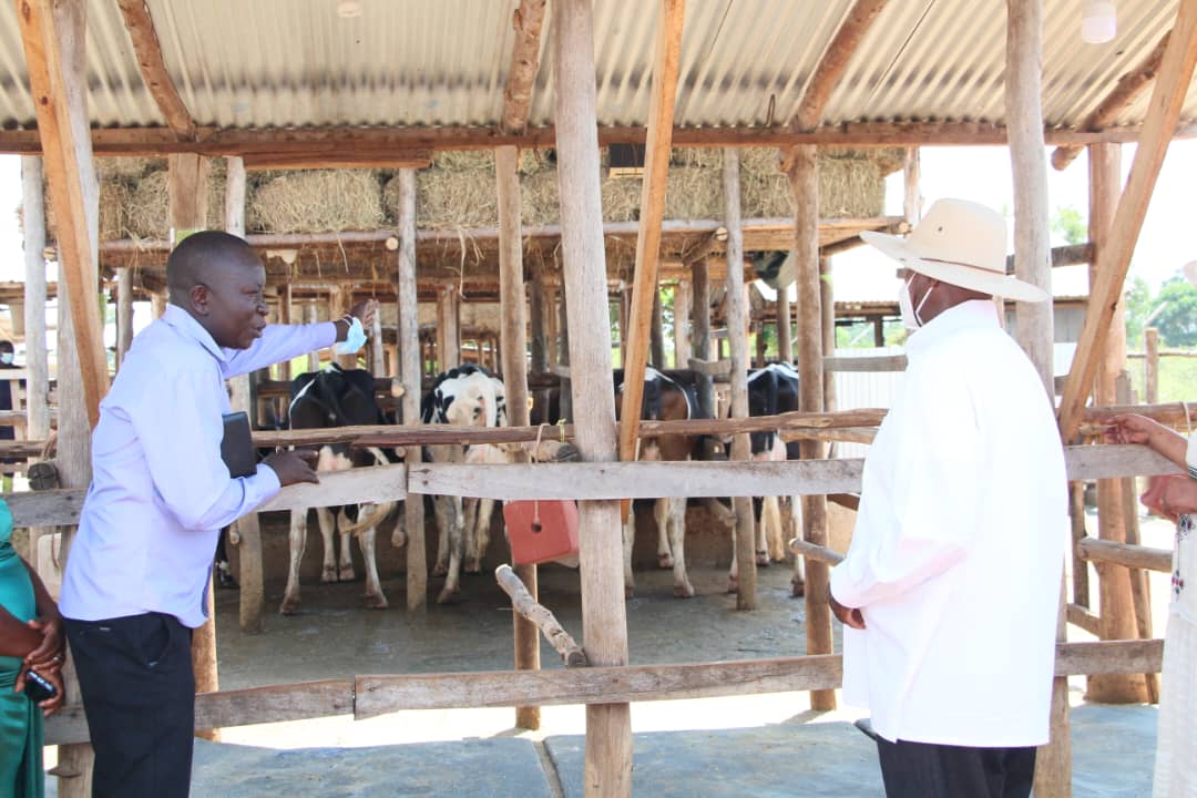 0e9fa1f3e9e66792401a6972d477dcc3