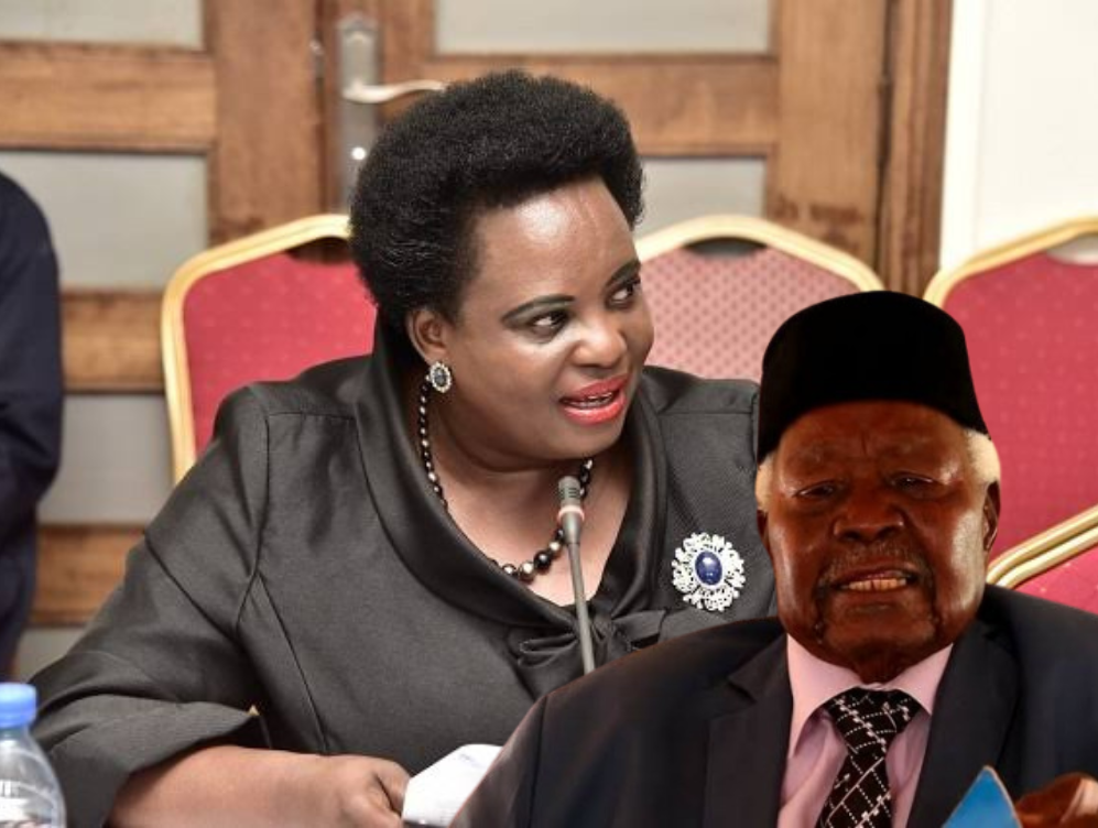 Untitled design 20241107 152700