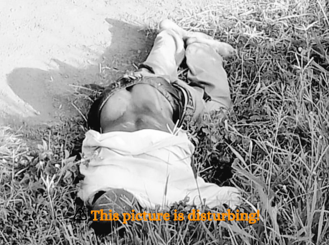 ⚠️ This picture is disturbing! 20241211 202423