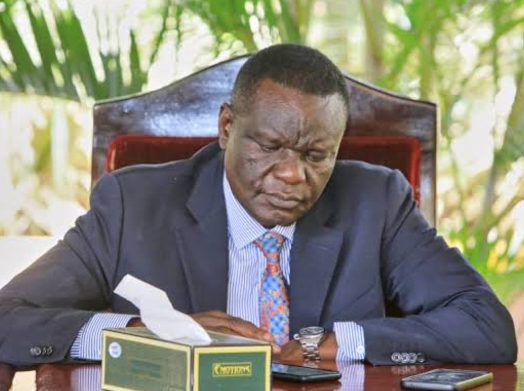 ⚠️ This picture is disturbing! 20241217 172147