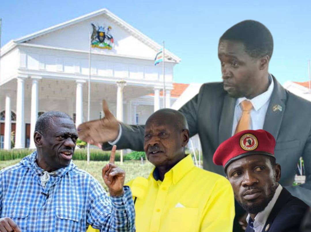 ⚠️ This picture is disturbing! 20241228 092951