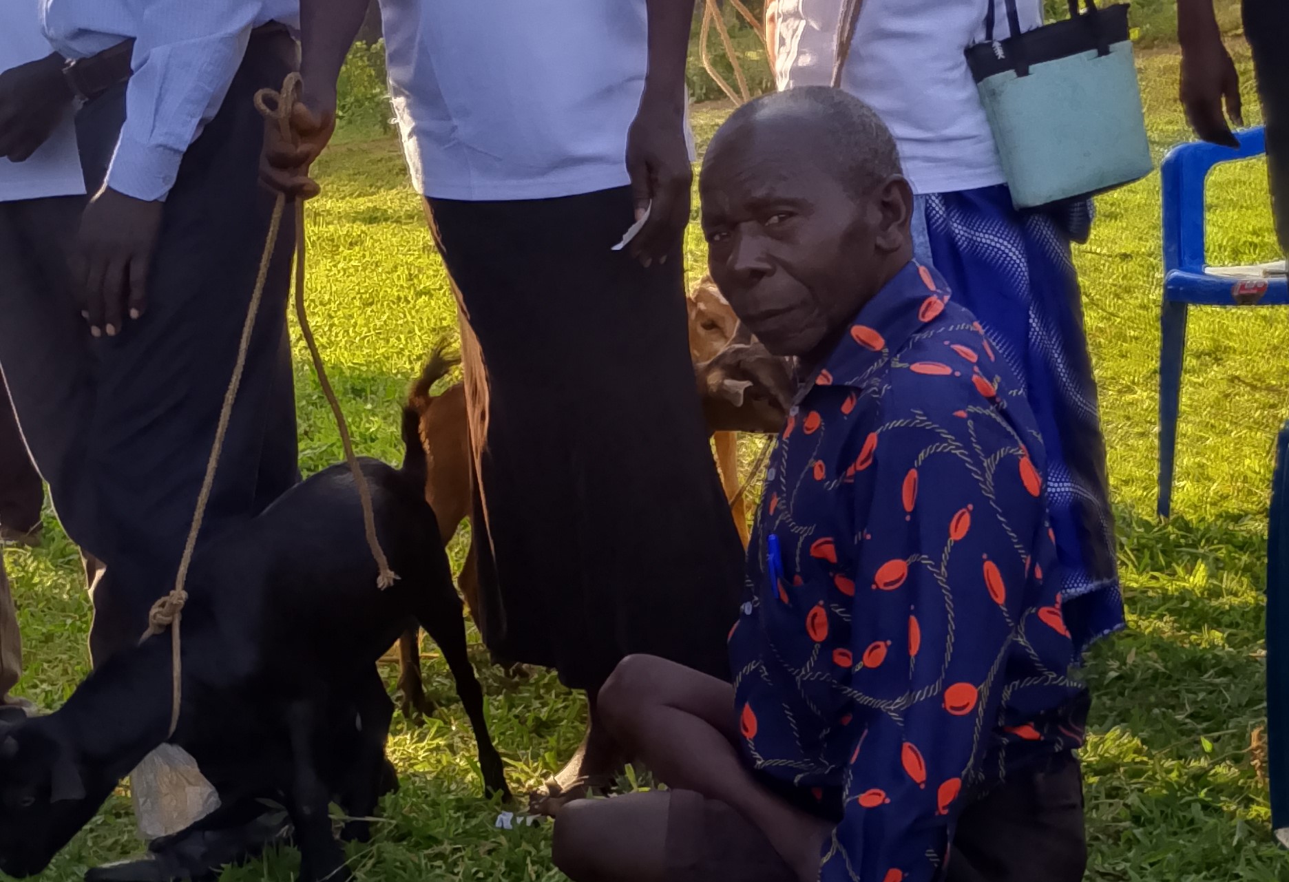 IMG 20241230 173132 459@1553267103