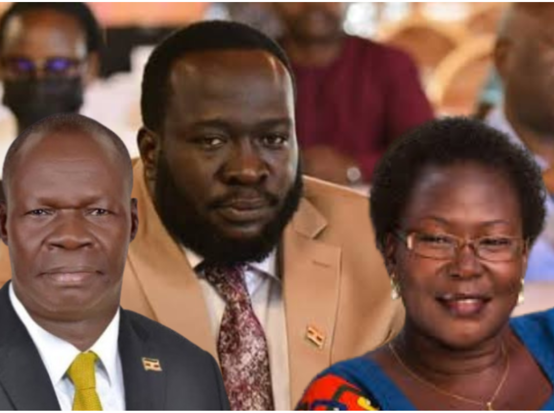 Untitled design 20241202 154457