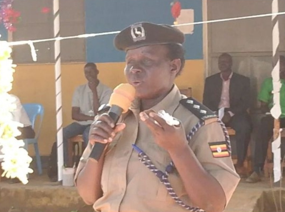 Untitled design 20241203 171958