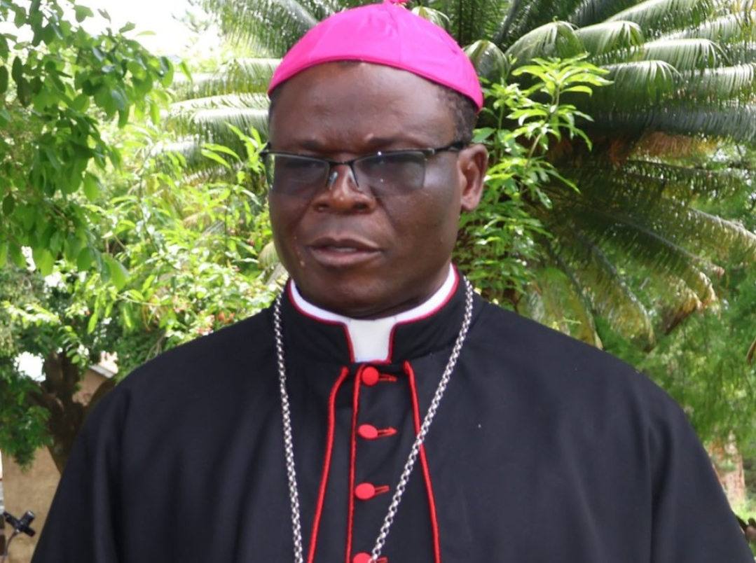 Untitled design 20241209 123730