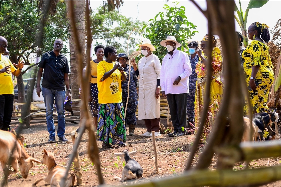 Screenshot 20250129 084855 Whatsappbusiness