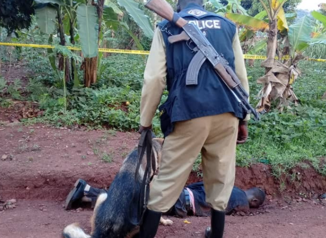 20250323 145030 0000