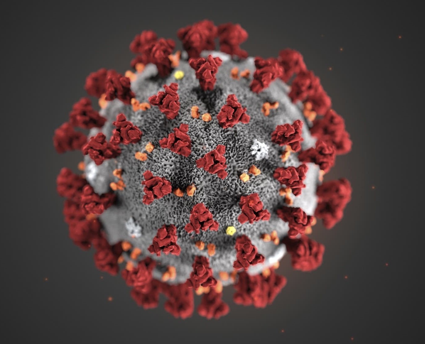 3dd780 20200131 coronavirus illustration