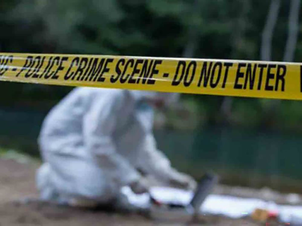 55a5bebd c7c2 4bae 94df b07a5c7c0c28