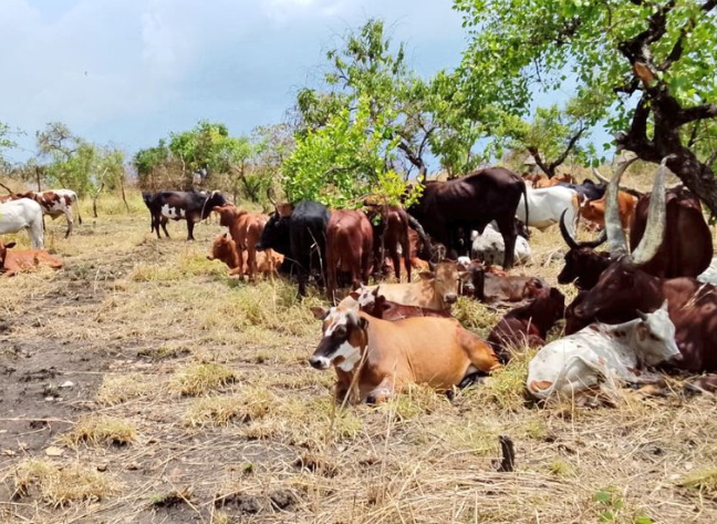 Otafiire+Amongi+return+to+Oyam+with+your+expired+politics.+Dont+smuggle+ 20260214 230418