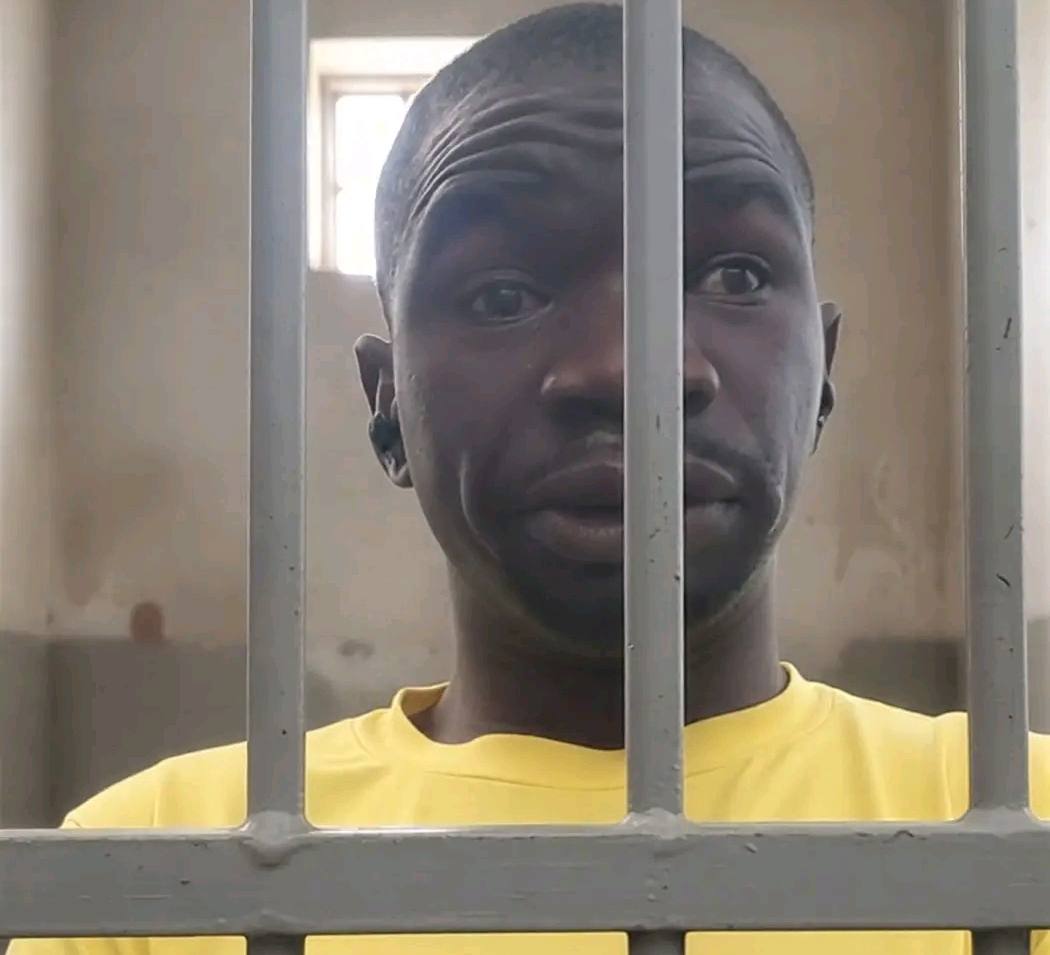 Image editor output image 2115879044