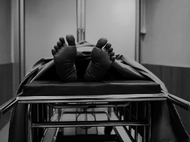 Screenshot 2026 02 09 at 07 45 10 Dead People Images Browse 297 066 Stock Photos Vectors and Video Adobe Stock