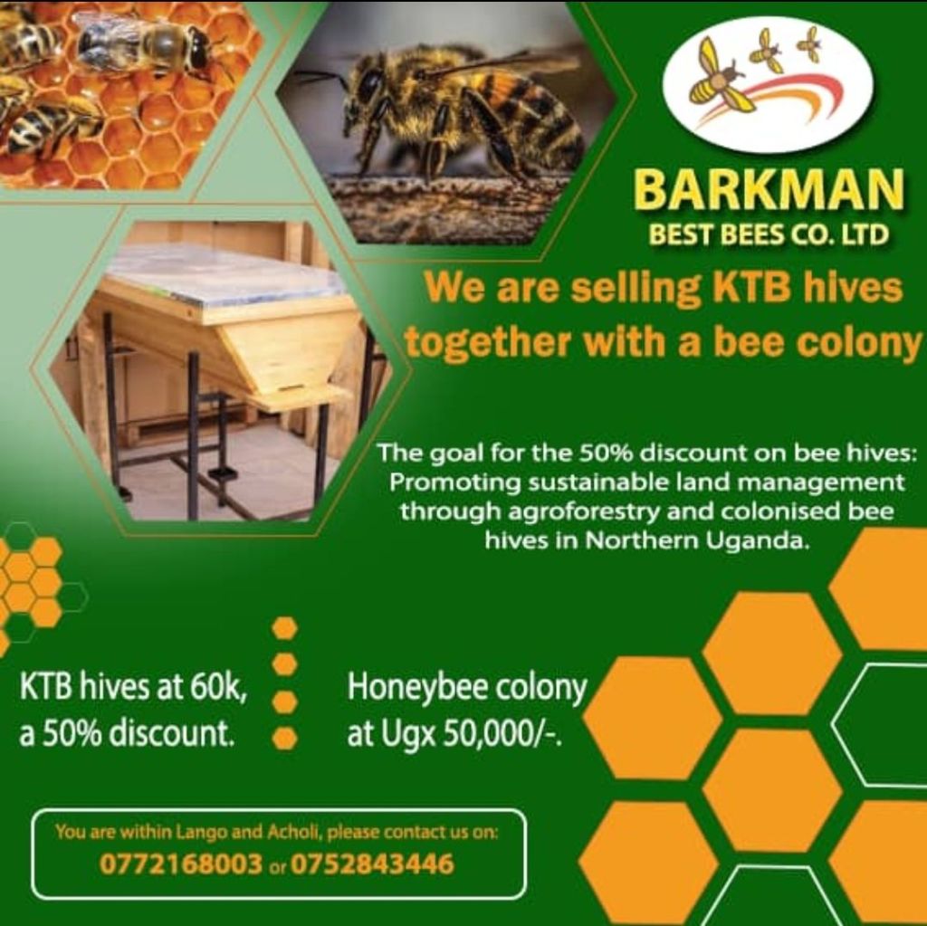 10045374643115292933260759597