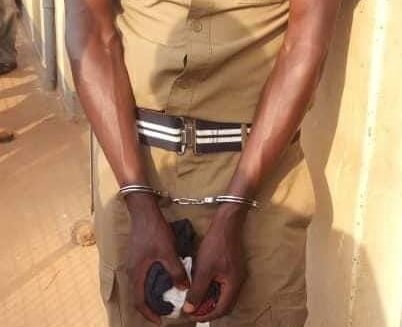 IMG 20241118 WA0025 1536x1017