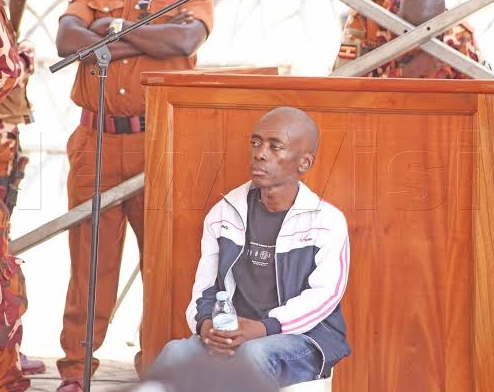 Image editor output image 269828335